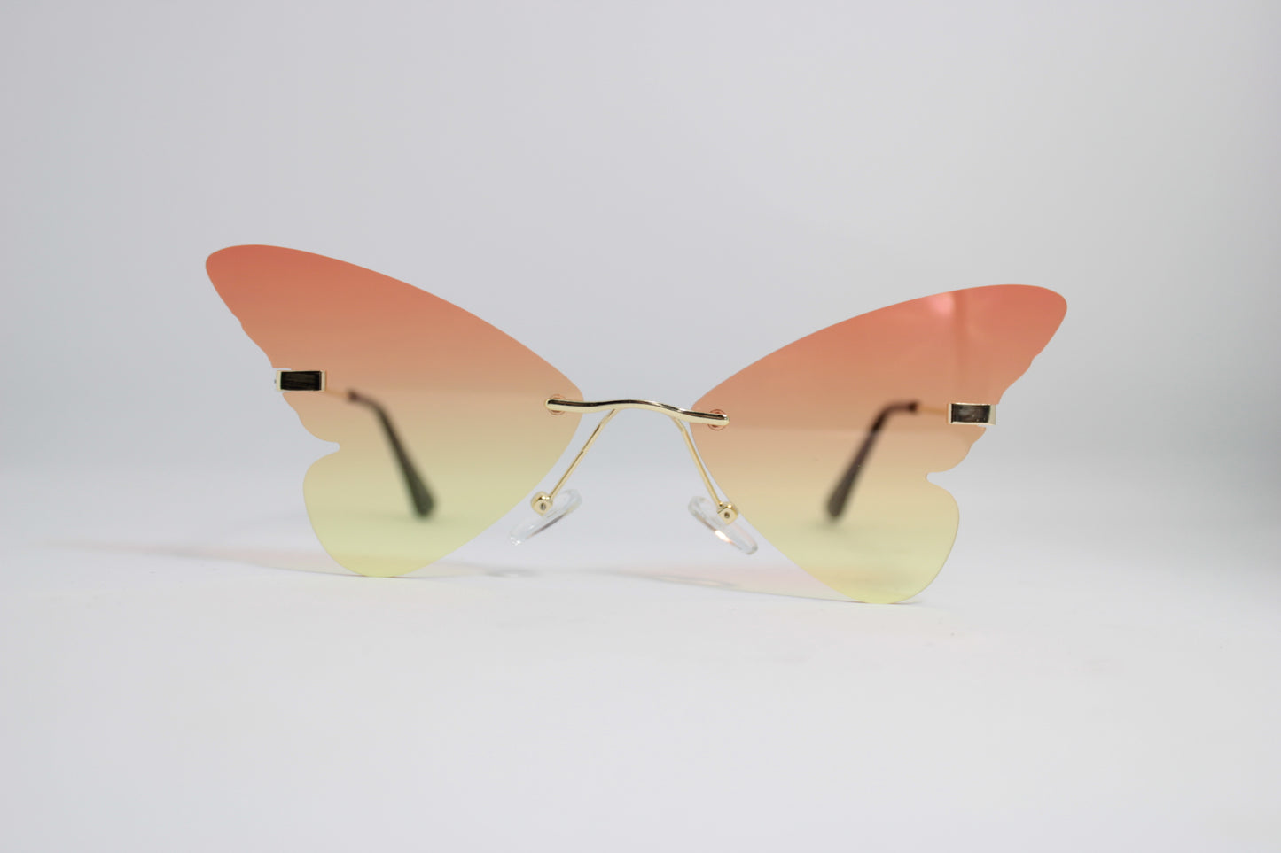 J10764-Butterfly Frame