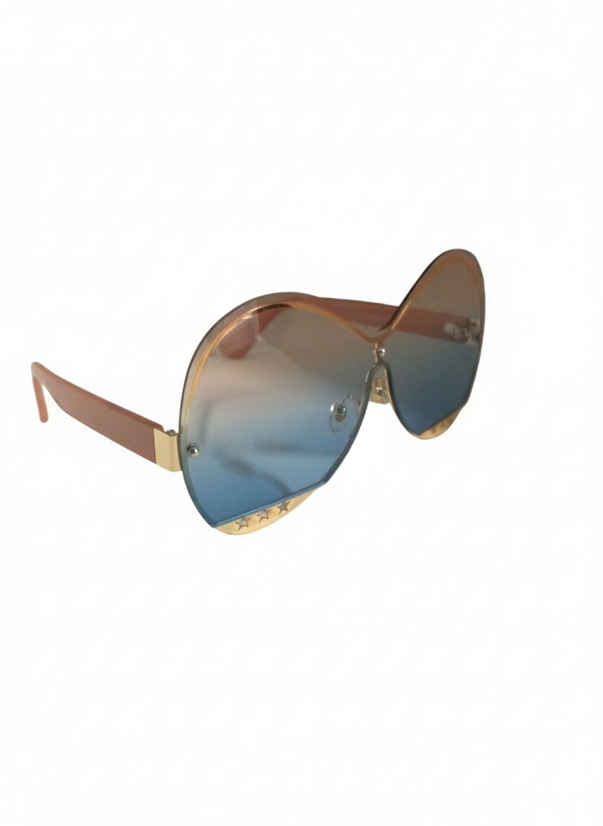 CI9255 Large Oval Sunglasses